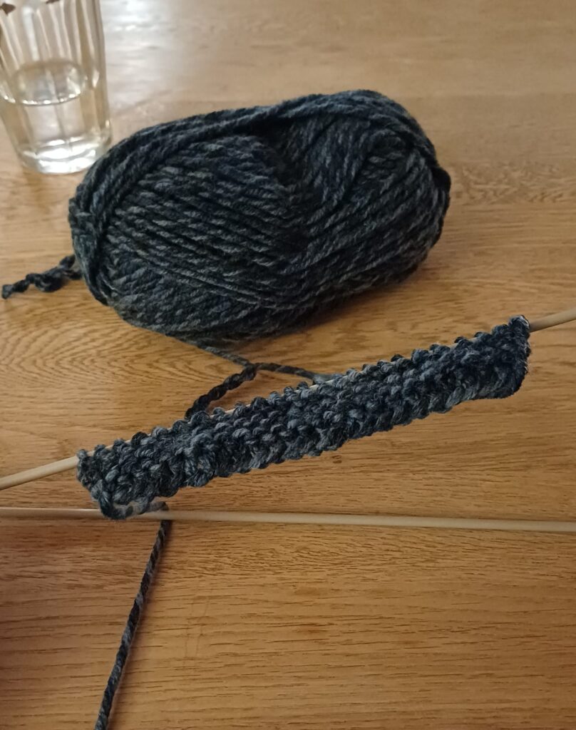 Sport en hobby in Denemarken